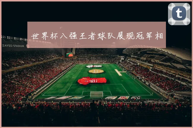 世界杯八强王者球队展现冠军相