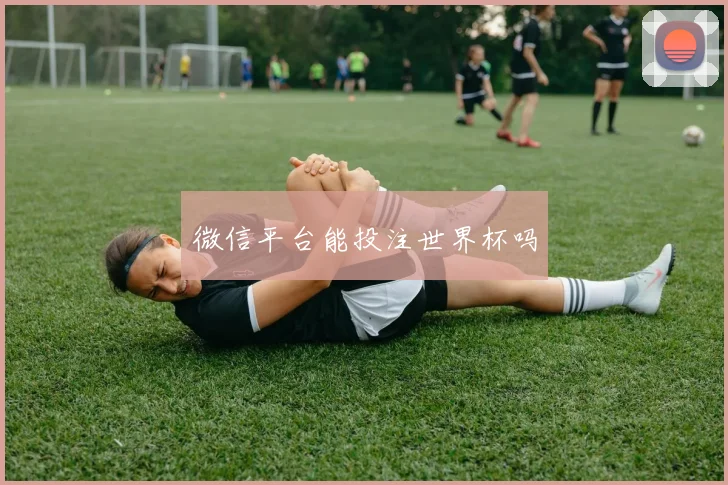 微信平台能投注世界杯吗