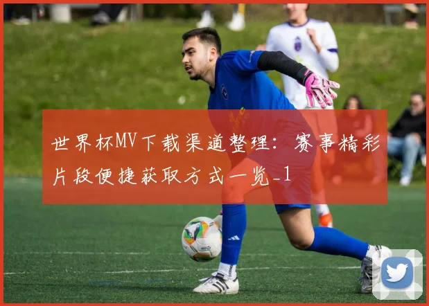 世界杯MV下载渠道整理:赛事精彩片段便捷获取方式一览_1