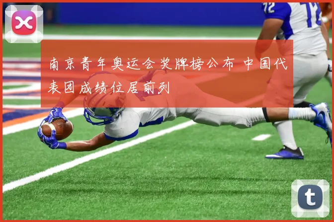 南京青年奥运会奖牌榜公布 中国代表团成绩位居前列