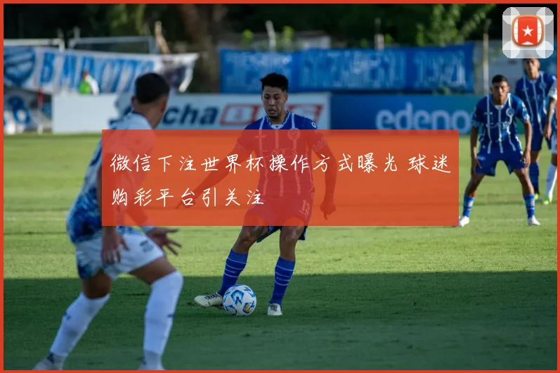 微信下注世界杯操作方式曝光 球迷购彩平台引关注
